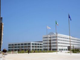 Regionali Puglia, gli eletti e i grandi esclusi dal nuovo Consiglio