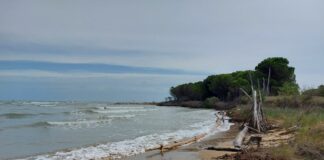 Avviati i lavori di difesa dei litorali al Faro di Bibione