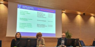 Cultura, Gibelli “Il 2022 è stato un anno di rilancio in Friuli”