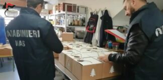 Controlli dei Nas per Natale, multe e denunce tra Agrigento, Palermo e Catania