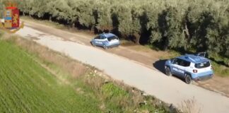 Furti d’auto e riciclaggio, stroncato nel Foggiano giro da oltre 1 milione di euro