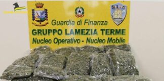 Sequestrati a Lamezia Terme 55 Kg di marijuana, un arresto