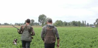 Urbanistica e caccia in Sardegna, la Consulta boccia il ricorso del governo