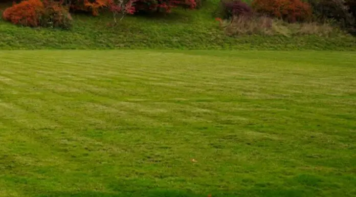 Diventare giardiniere d’arte, avviso per i progetti di formazione in Toscana