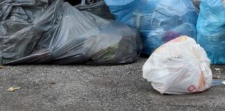 Consiglio regionale della Sardegna, in quinta commissione audizione sul termovalorizzatore