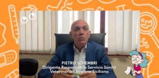 Preoccupa il West Nile, fondamentale la prevenzione