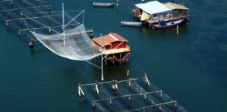 Nuova carta ittica regionale e regolamento pesca e acquacoltura