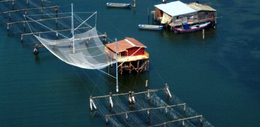 Crea, ricerca e innovazione per affrontare le sfide del futuro nel settore della pesca