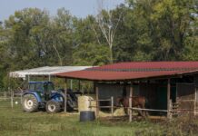 Diversificazione aziende agricole, bando Toscana da 5,4 milioni