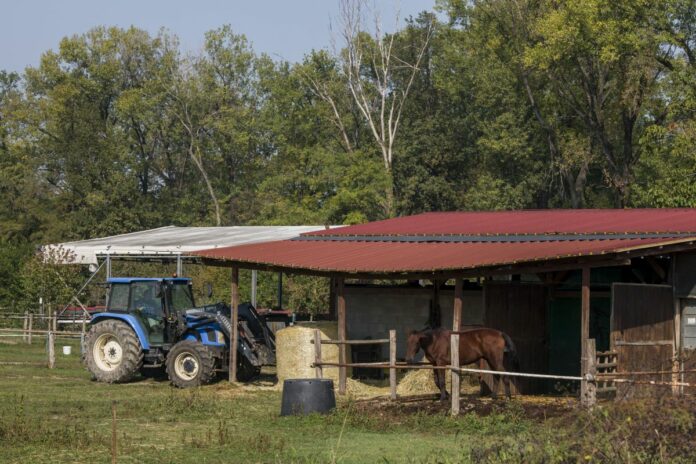 Milano. Azienda Agricola Dornetti Via Cascina Nuova 1 Cesano Boscone