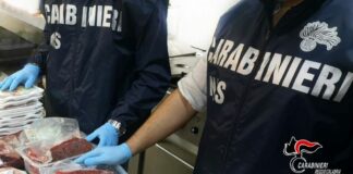 Blitz dei Nas, chiusa casa di cura abusiva a Reggio Calabria