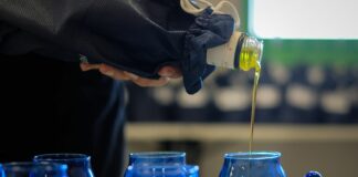 Sol d’Oro e Aipo d’Argento, collaborazione tra Concorsi per l’Olio Evo