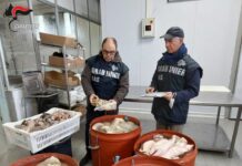 Sequestrata una tonnellata di carne a Palermo, sanzioni da 11.500 euro