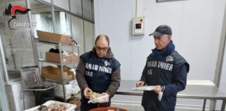 Sequestrata una tonnellata di carne a Palermo, sanzioni da 11.500 euro