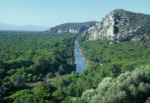 Marevivo e Wwf “Dare valore alla natura deve essere un impegno di tutti”