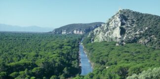 Marevivo e Wwf “Dare valore alla natura deve essere un impegno di tutti”