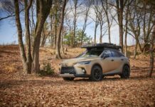 Lexus a Tokyo mette in mostra personalizzazione e stili si vita outdoor