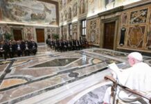La Federazione nazionale Ordini TSRM e PSTRP in udienza dal Papa