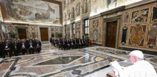 La Federazione nazionale Ordini TSRM e PSTRP in udienza dal Papa