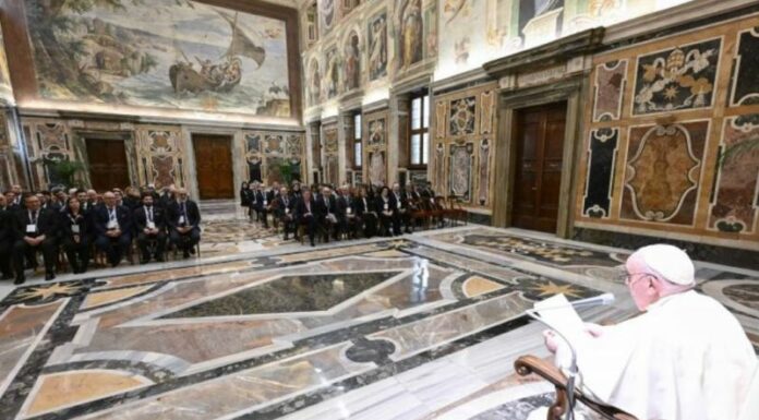 La Federazione nazionale Ordini TSRM e PSTRP in udienza dal Papa