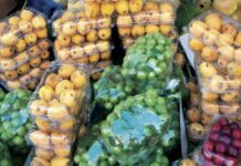 Marevivo, al via campagna contro imballaggi monouso per frutta e verdura