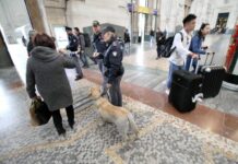 Blitz interforze alla stazione centrale di Milano, arresti e sequestri