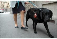 Scuola cani guida ciechi di Scandicci “Adottate un cucciolo”