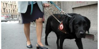 Scuola cani guida ciechi di Scandicci “Adottate un cucciolo”