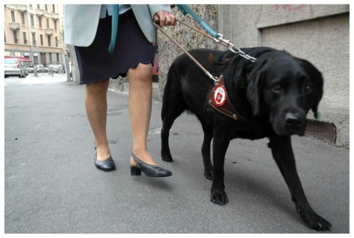 MILANO - PRESENTAZIONE SECONDA GIORNATA NAZIONALE DEL CANE CHE SI TERRA SABATO 14 MAGGIO IN PIAZZA SAN CARLO