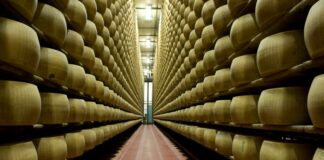 Nel 2022 vendite in crescita per il Consorzio Parmigiano Reggiano