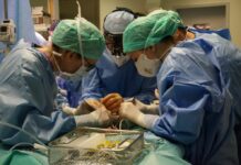 Eseguito a Bergamo il primo trapianto di polmone da vivente in italia