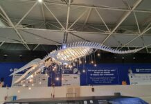 La “Grande Anima” by Marcantonio illumina l’aeroporto di Fiumicino