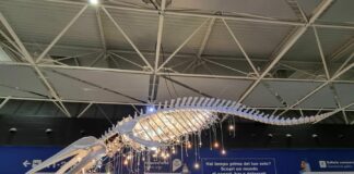 La “Grande Anima” by Marcantonio illumina l’aeroporto di Fiumicino