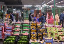 Agricoltura, oltre 95 milioni di euro di contributi UE