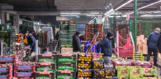 Agricoltura, oltre 95 milioni di euro di contributi UE