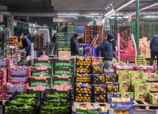 L’Antitrust avvia un’indagine conoscitiva su Gdo nell’ambito della filiera agroalimentare