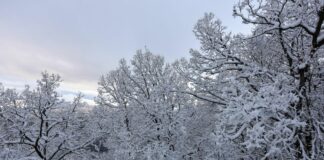 Maltempo, le province più colpite Rimini e Forlì-Cesena