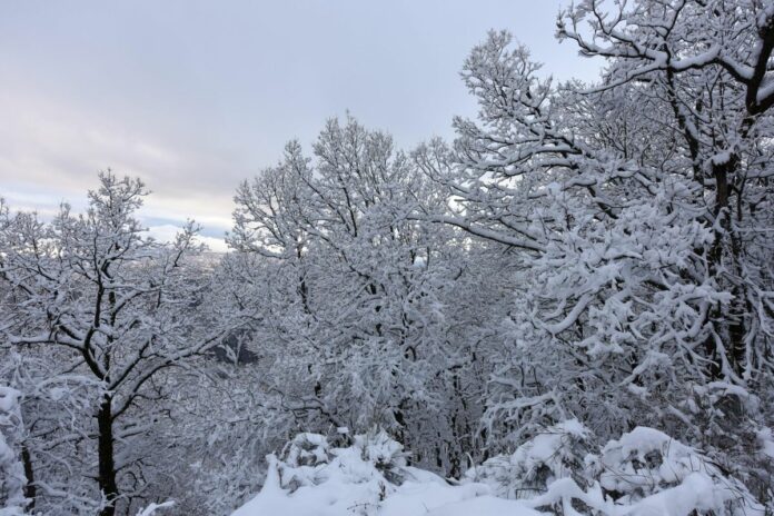 In Italia il freddo Siberiano arriva al centro sud e abbondanti nevicate imbiancano la Calabria