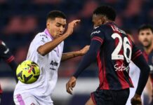 Finisce in parità fra Bologna e Cremonese