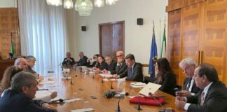 Federazioni e Ordini incontrano Schillaci su rilancio sistema assistenza