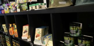 Malta, applications for cannabis clubs licence to open in february