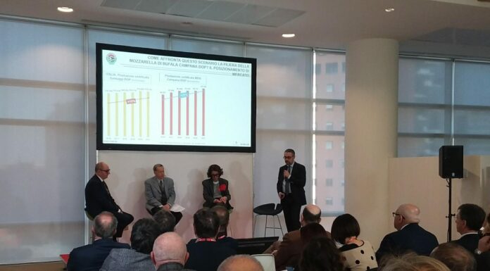 Mozzarella di Bufala Campana Dop, crescono produzione ed export