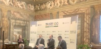 Rapporto AGRIcoltura100, imprese sostenibili le più competitive