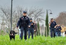 Bocconi avvelenati al parco a Firenze, sopralluogo dell’unità cinofila dei carabinieri