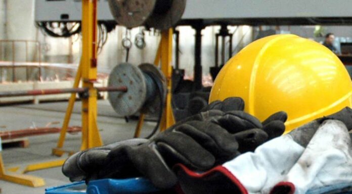 Lavoro, Calderone “Su sicurezza agire subito con progettualità comune”