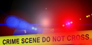 Che cosa fa la Polizia scientifica Che cosa fa un agente di Polizia scientifica