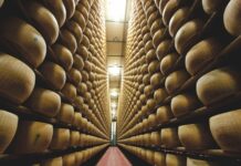 Parmigiano Reggiano protagonista a Taste con progetto Premium “40 mesi”