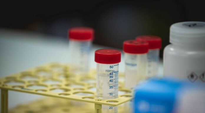 Covid, in Italia 33.042 nuovi casi e 439 decessi in una settimana