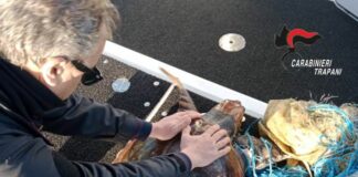 Favignana, Carabinieri salvano tartaruga Caretta Caretta