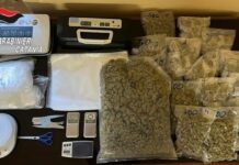 Nascondeva più di 2 chili di marijuana in casa, 55enne arrestato a Catania